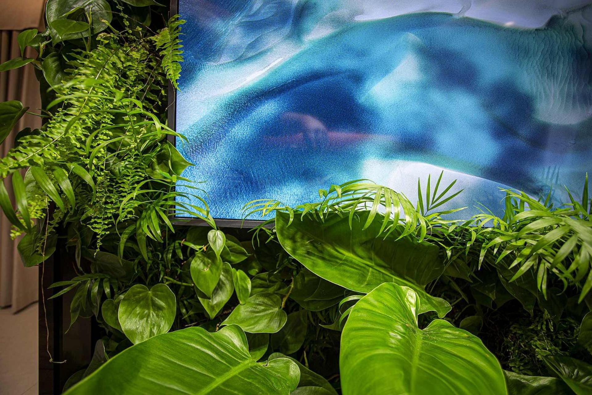 Costa Rica Hotel